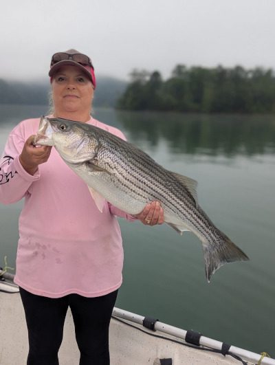 Norris Lake/Clinch River/Melton Hill Lake