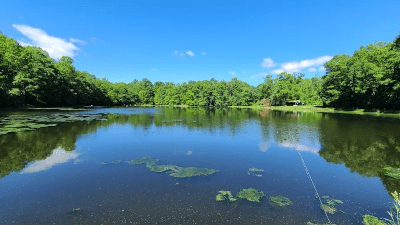Rabbit Run Reservoir